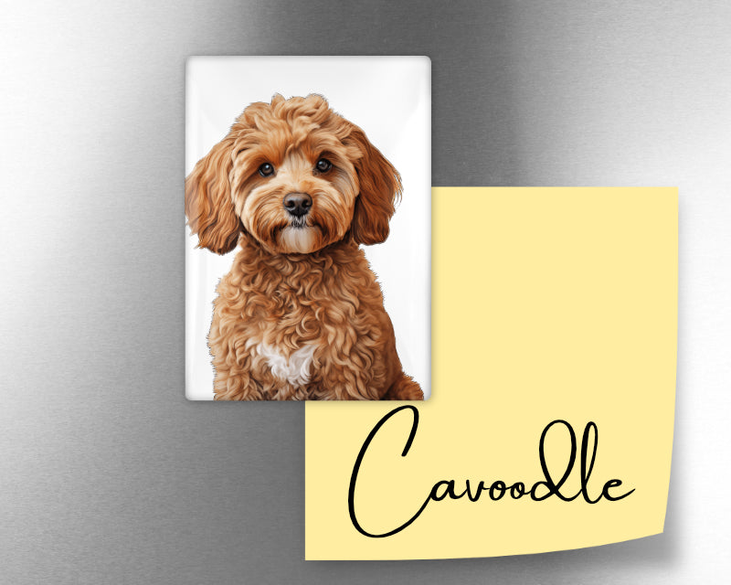 Cavoodle Dog Magnet