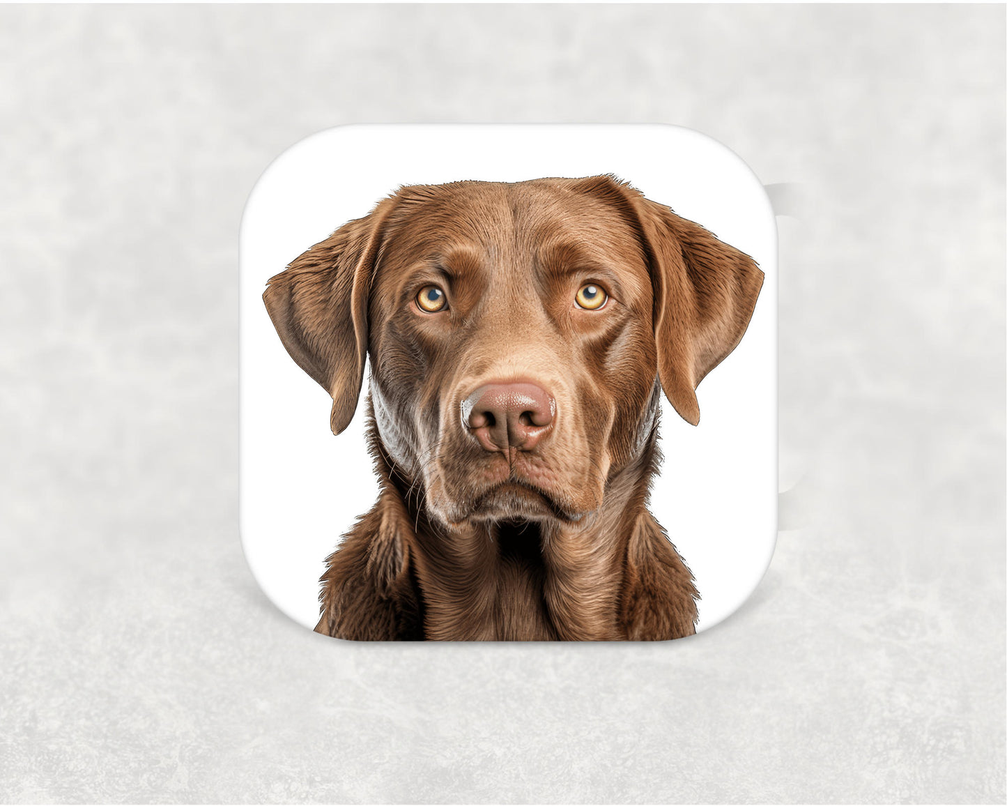 Chesapeake Bay Retriever Coaster