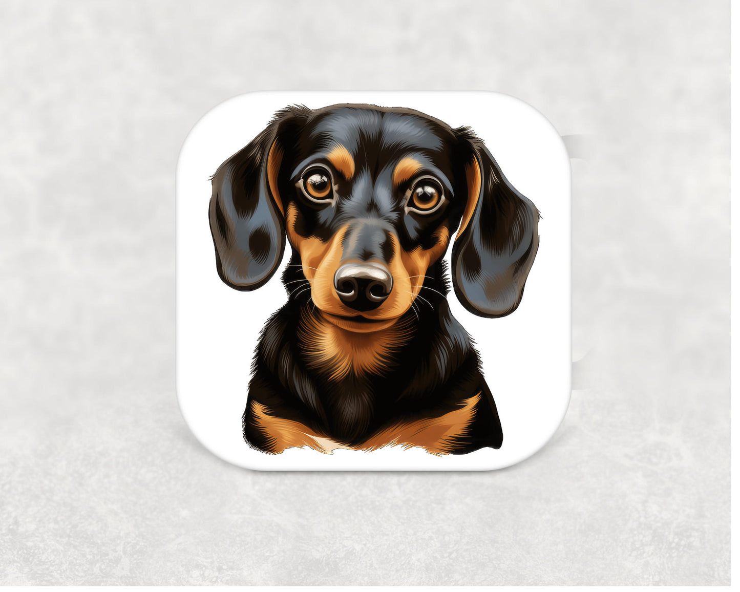 Dachshund Short Hair Coaster