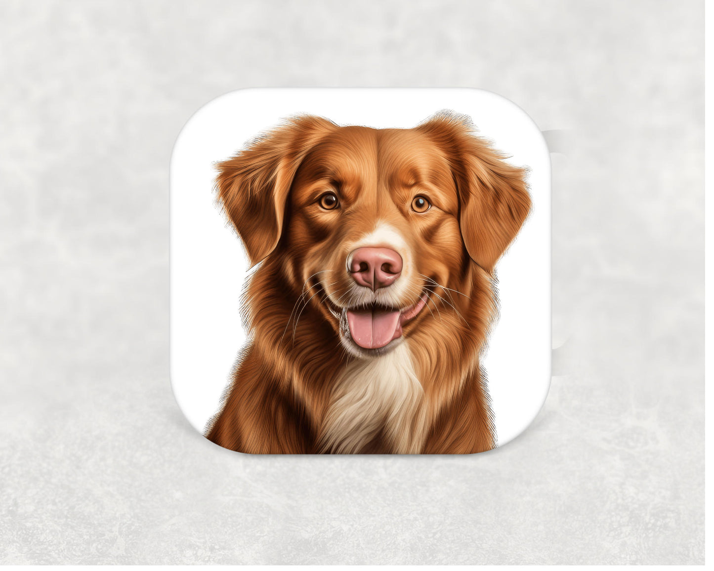 Nova Scotia Duck Tolling Retriever Coaster