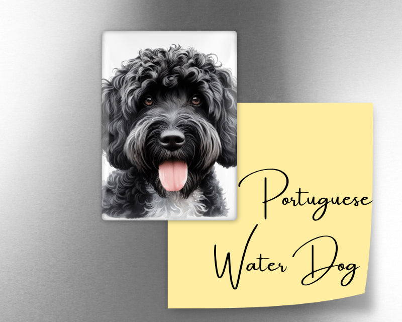 Portuguese Water Dog Magnet