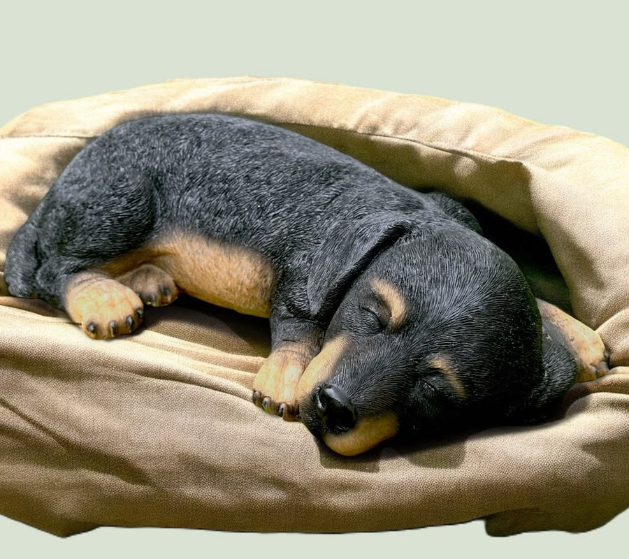 Dachshund Short Hair Dog Sleeping Ornament