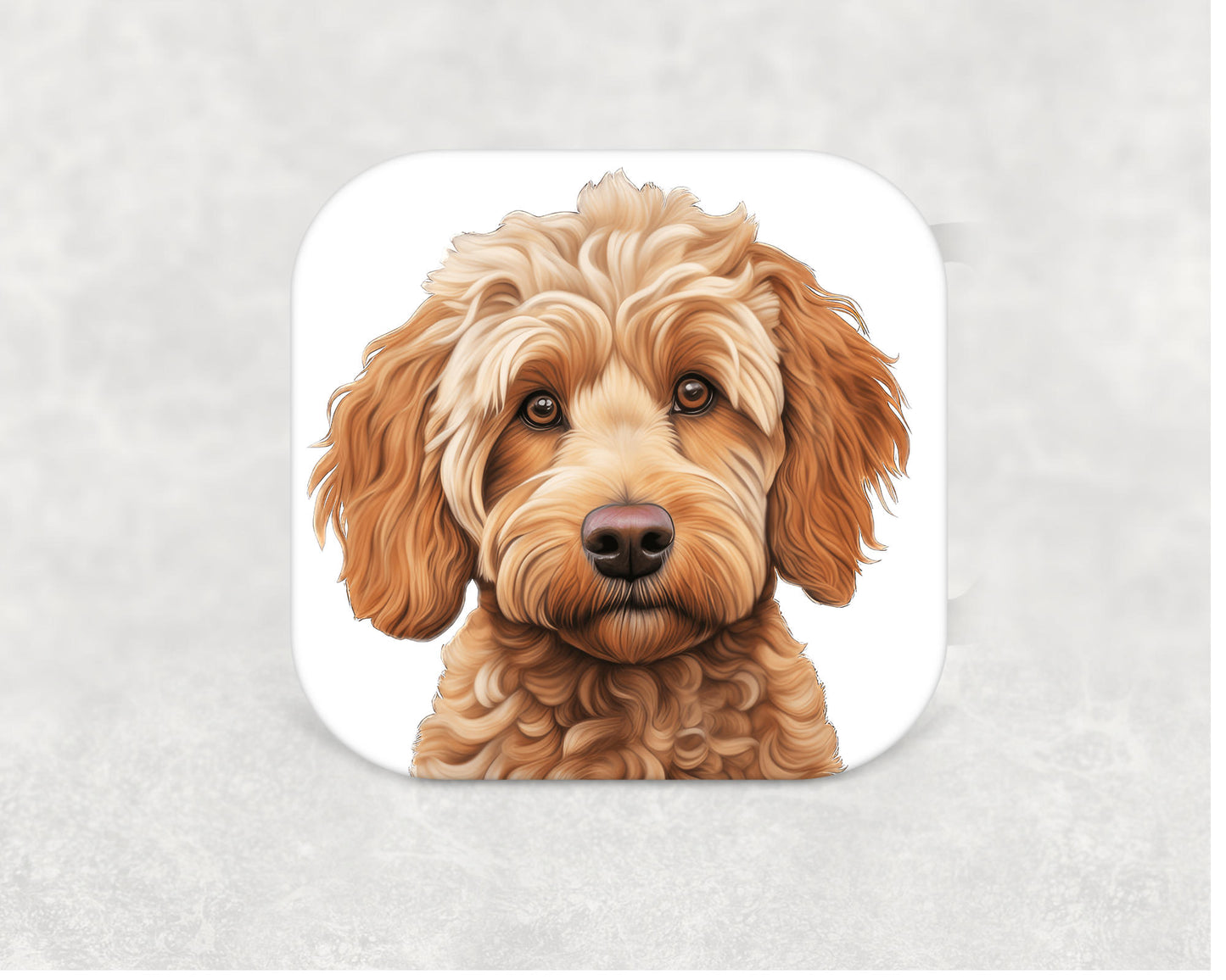 Spoodle Coaster