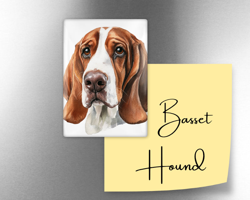 Basset Hound Dog Magnet