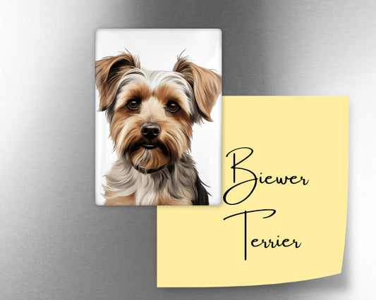 Biewer Terrier Dog Magnet