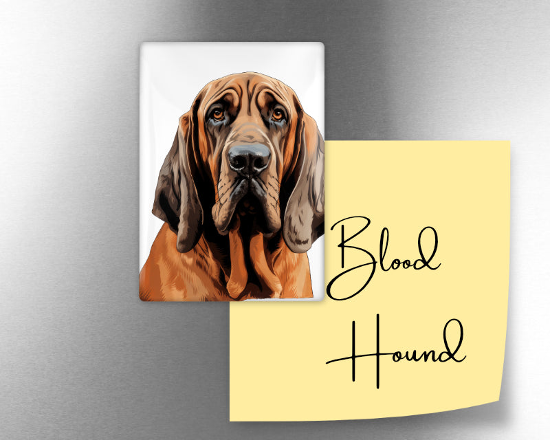 Bloodhound Dog Magnet