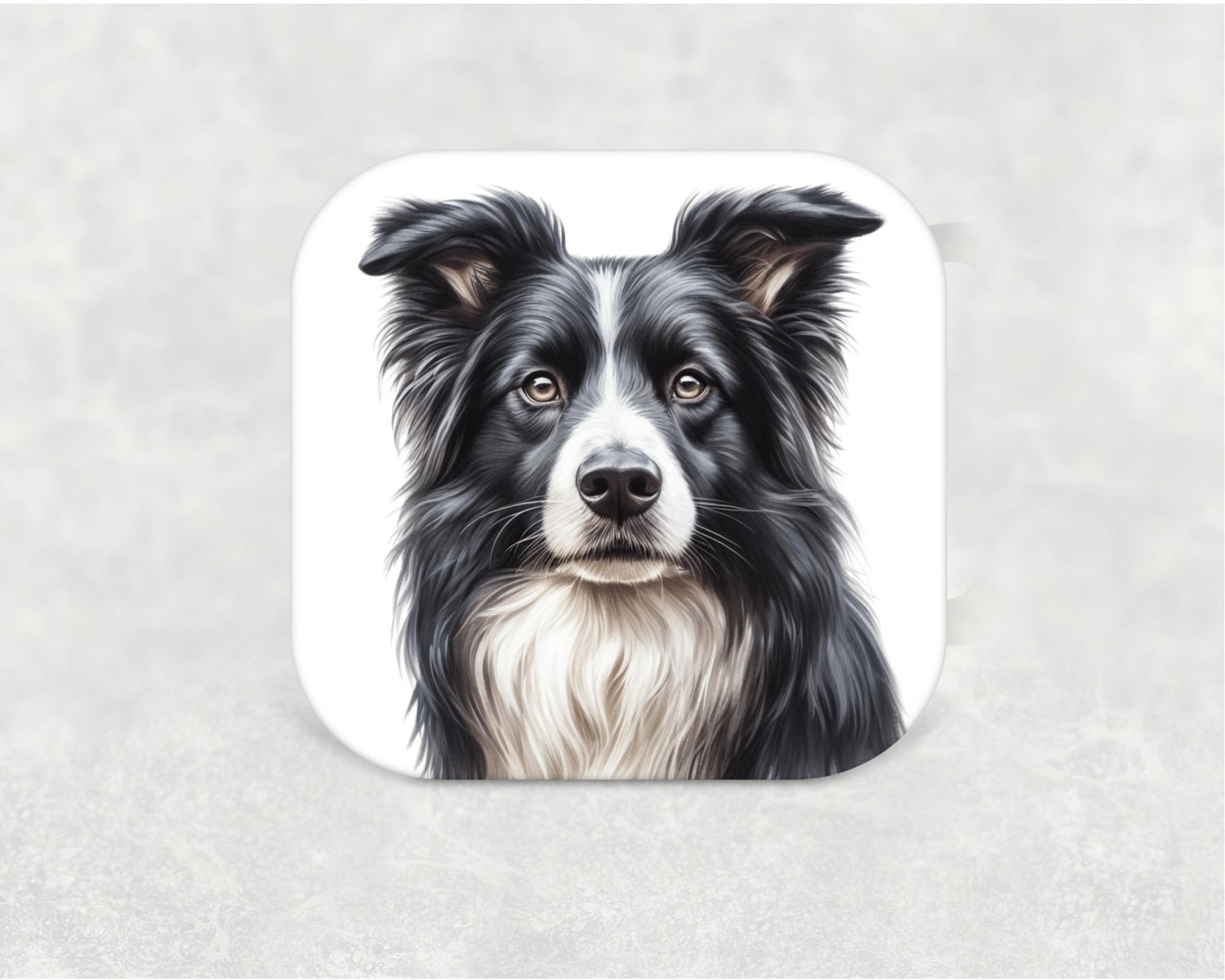 Border Collie Coaster featuring a detailed illustration of an intelligent and agile Border Collie dog on an MDF coaster with cork backing