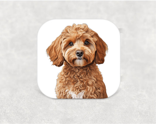 Cavoodle Coaster