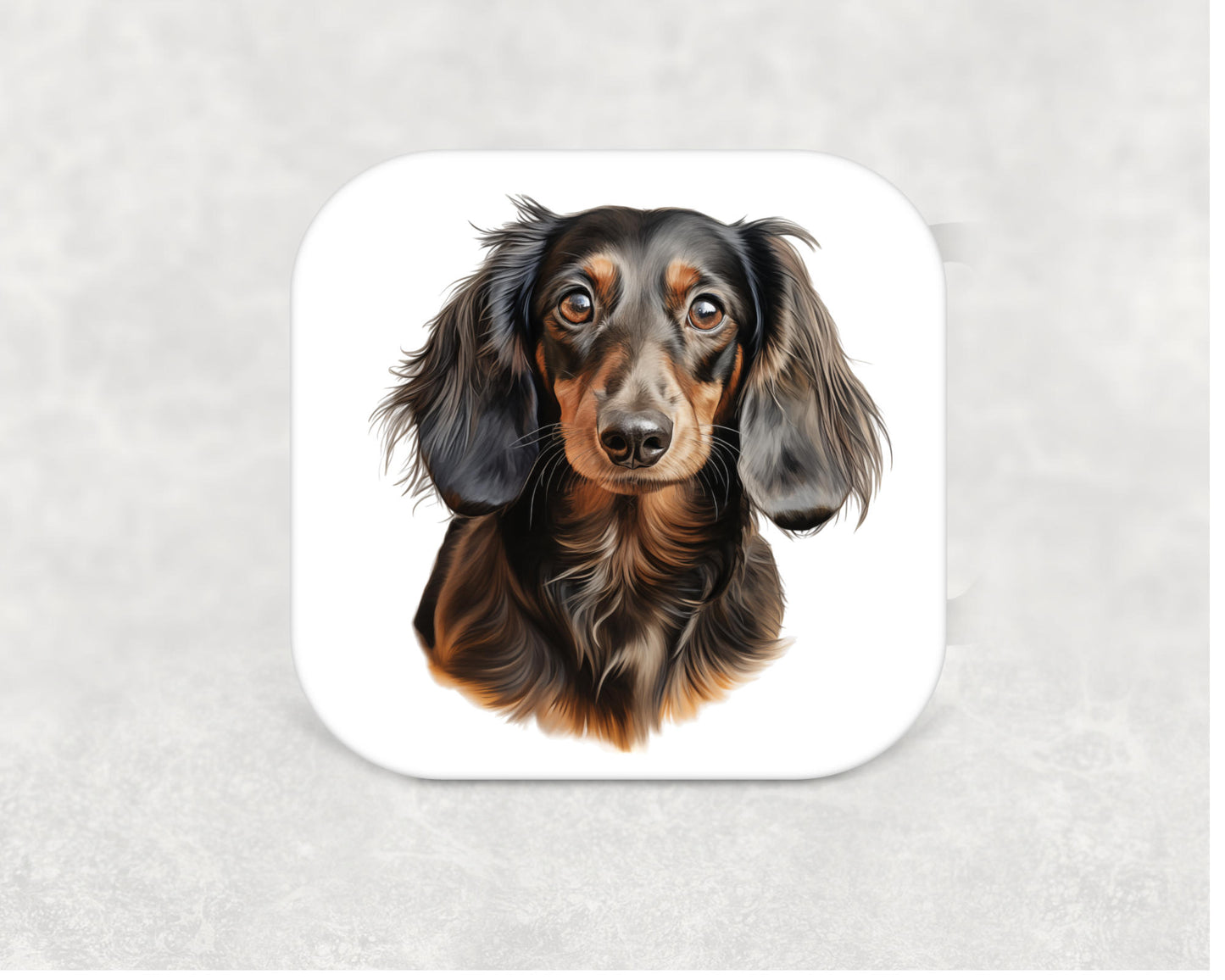 Dachshund Long Hair Coaster
