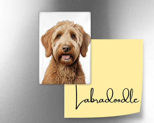 Labradoodle Dog Magnet