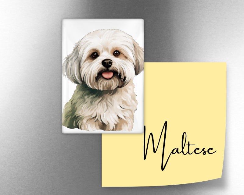 Maltese Dog Magnet