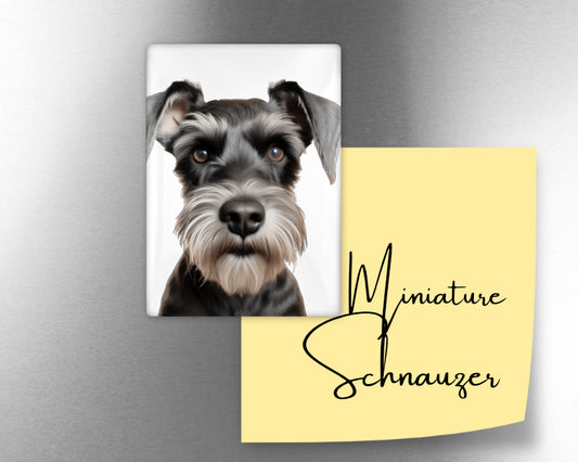 Miniature Schnauzer Dog Magnet