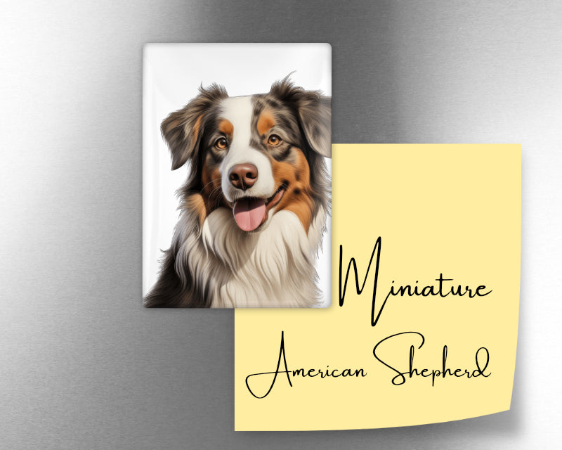 Miniature American Shepherd Dog Magnet