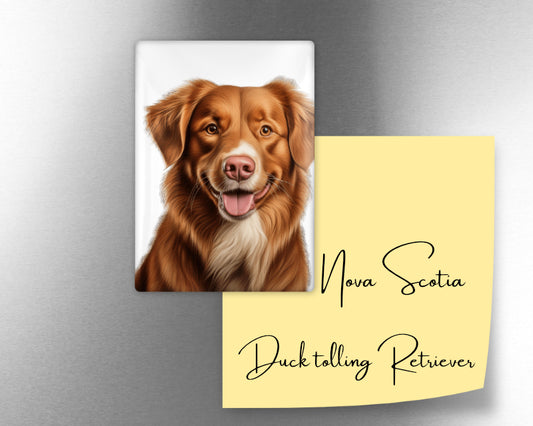 Nova Scotia Duck Tolling Retriever Dog Magnet