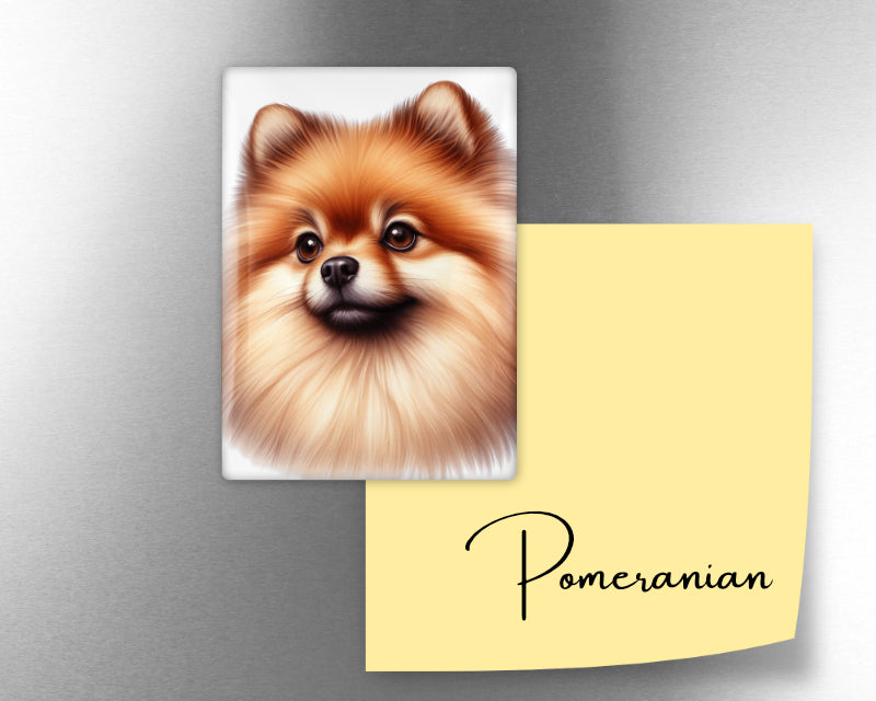 Pomeranian Dog Magnet