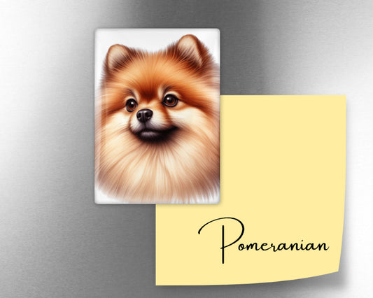 Pomeranian Dog Magnet
