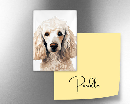 Poodle Dog Magnet