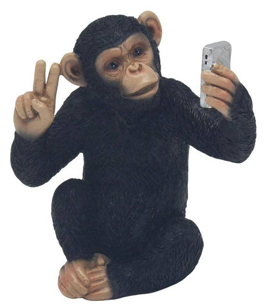 Selfie Cheeky Monkey Ornament
