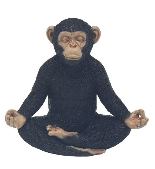 Yoga Cheeky Monkey