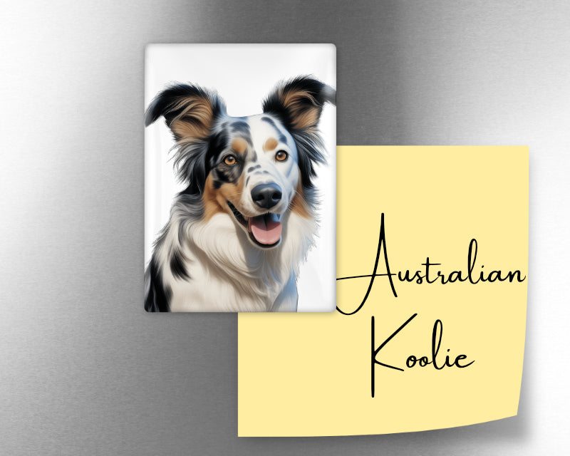 Australian Koolie Dog Magnet