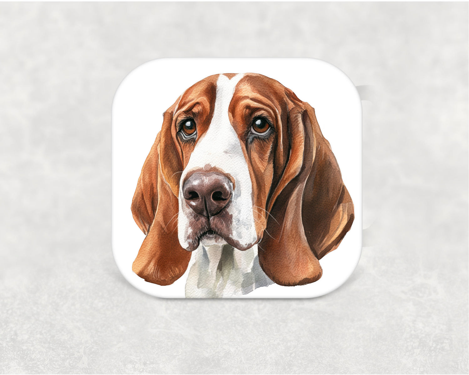 Basset Hound Coaster - MDF dog breed coaster with cork backing featuring a detailed Basset Hound illustration. Perfect gift for Basset Hound owners