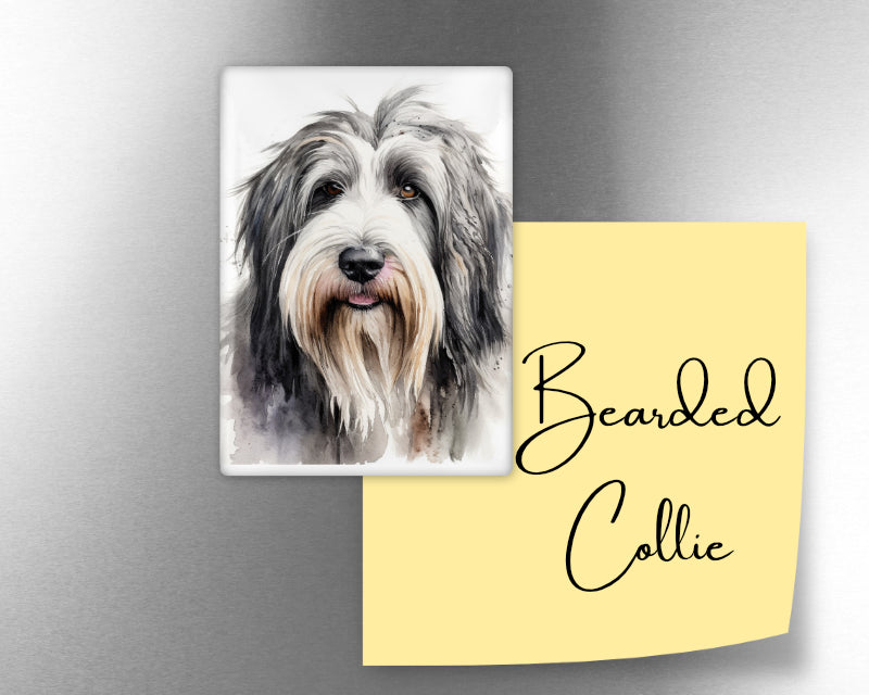 Bearded Collie Dog Magnet