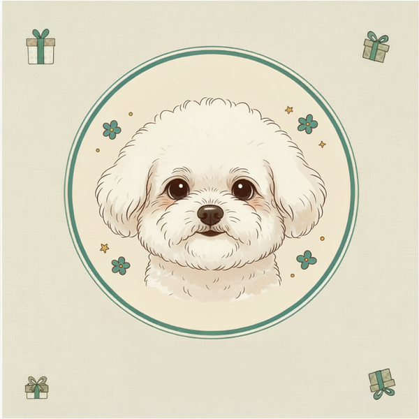 Bichon Frise