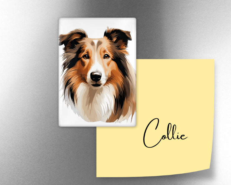 Rough Collie Dog Magnet