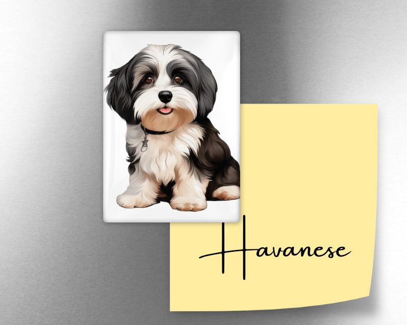 Havanese Dog Magnet