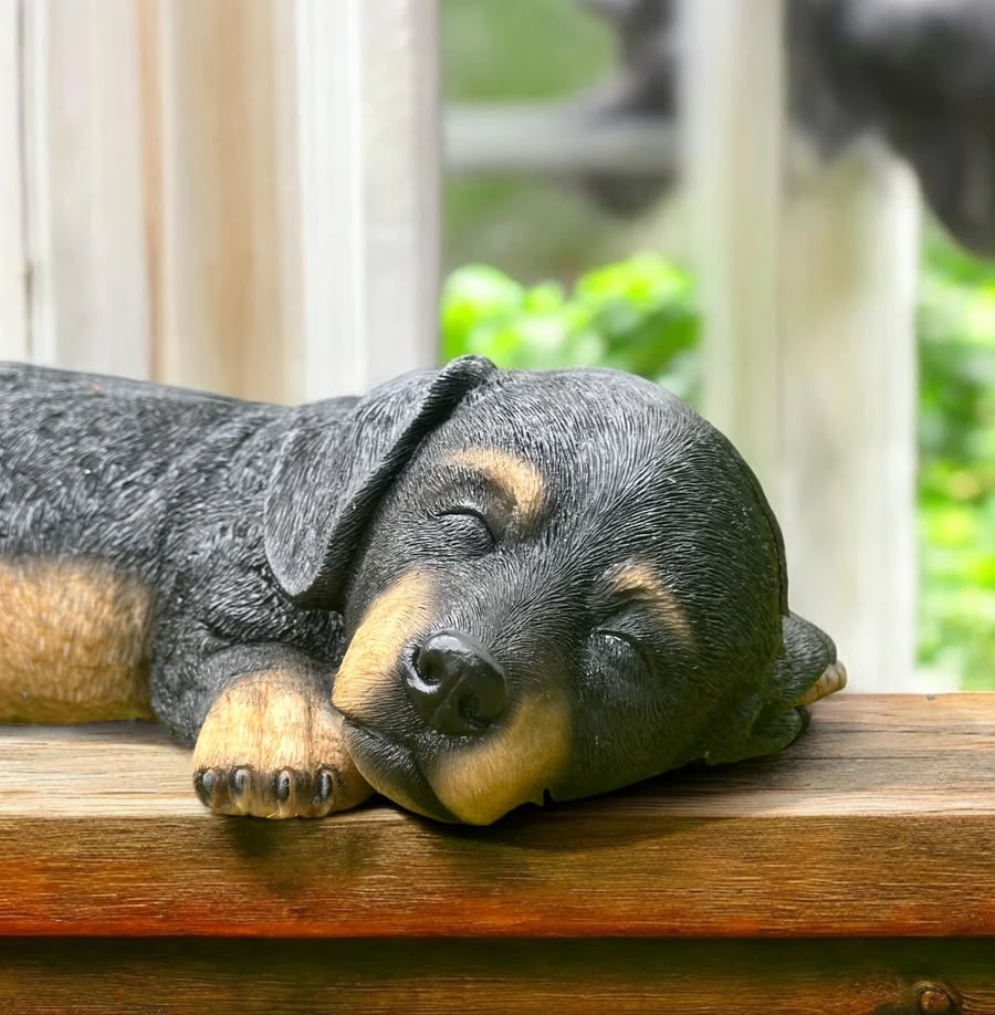 Dachshund Short Hair Dog Sleeping Ornament