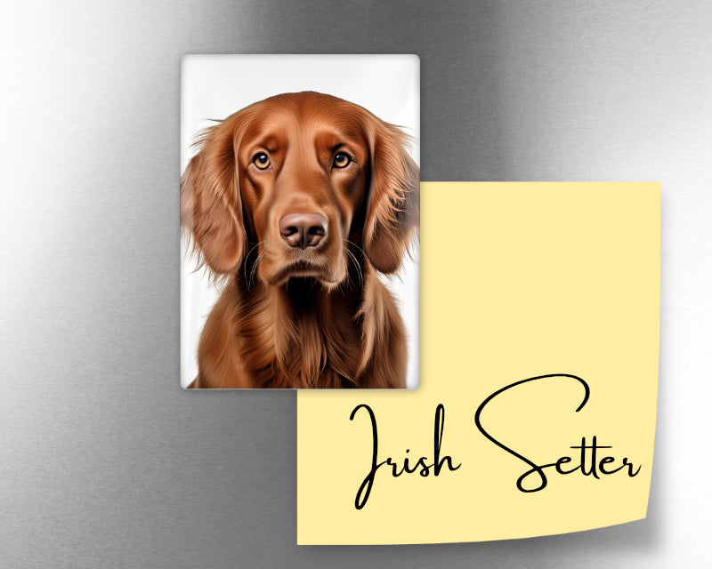 Irish Setter Dog Magnet