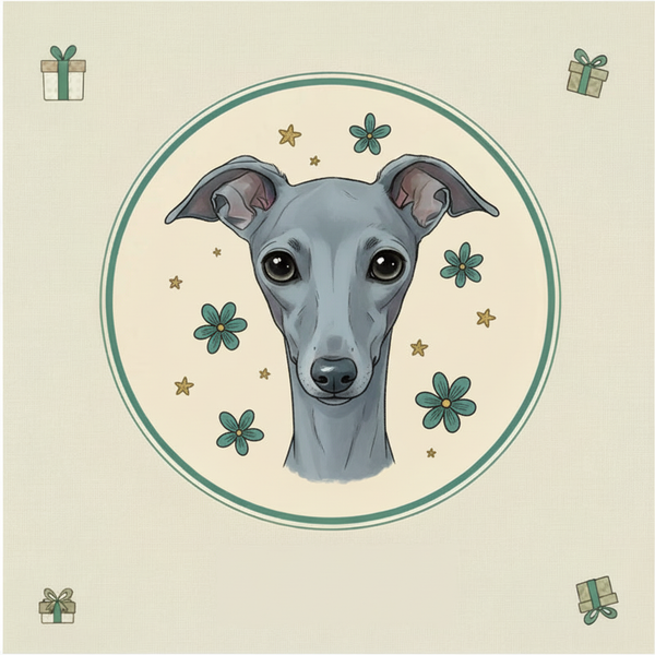 Italian Greyhound