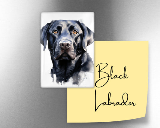 Black Labrador Dog Magnet