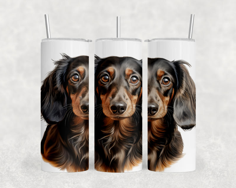 Dachshund Long Hair Dog Tumbler – 20oz