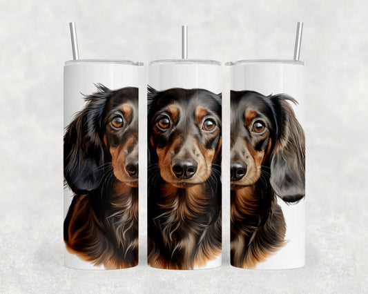 Dachshund Long Hair Dog Tumbler – 20oz