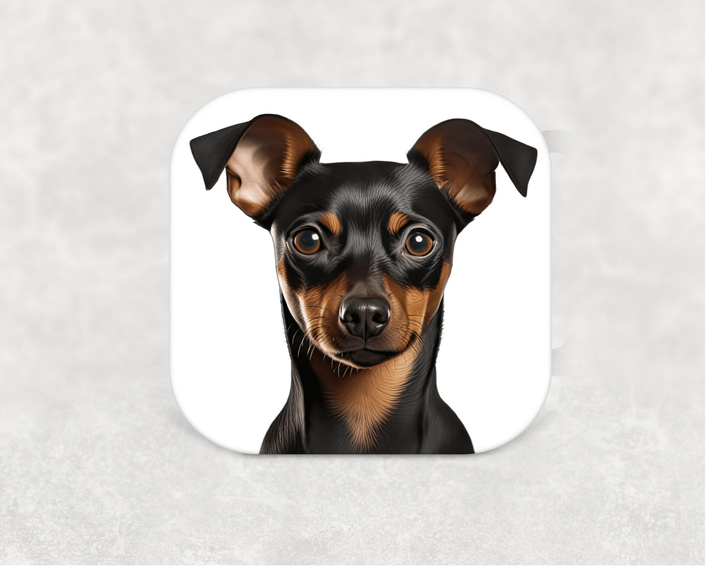 Miniature Pinscher Coaster