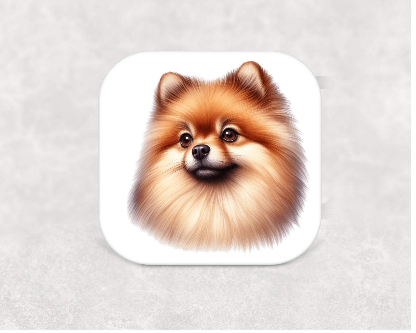 Pomeranian Coaster