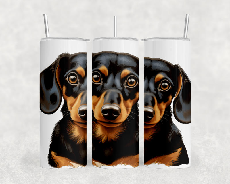 Dachshund Short Hair Dog Tumbler – 20oz
