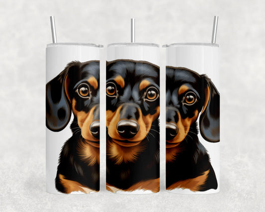 Dachshund Short Hair Dog Tumbler – 20oz