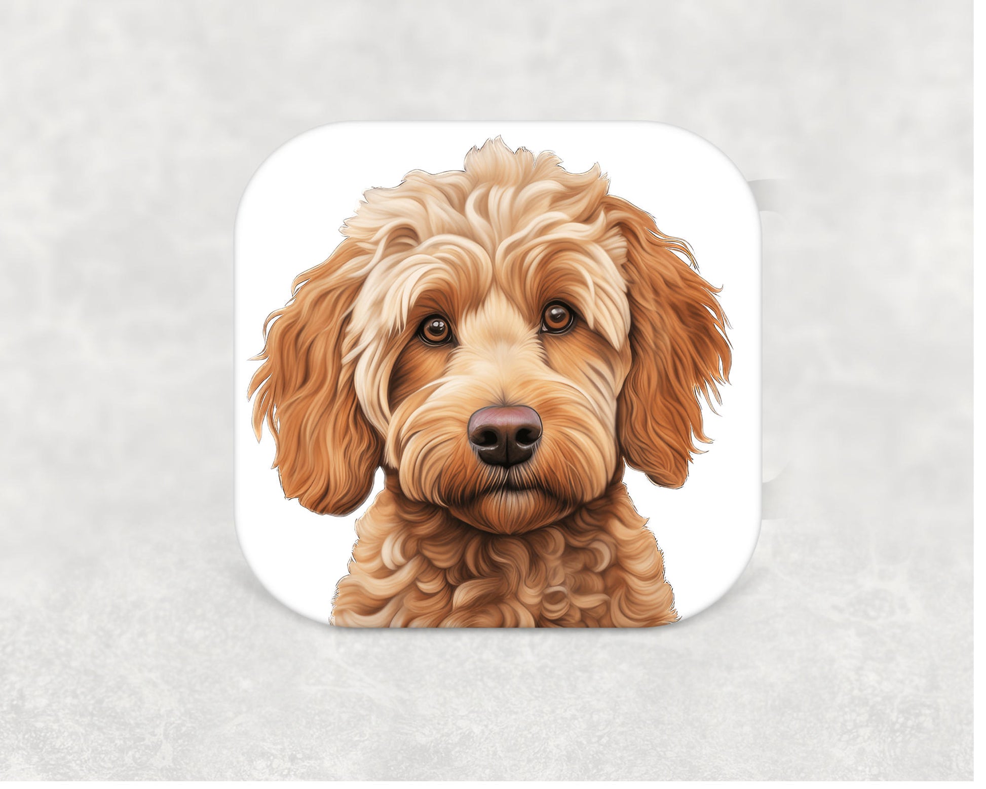 Spoodle Coaster
