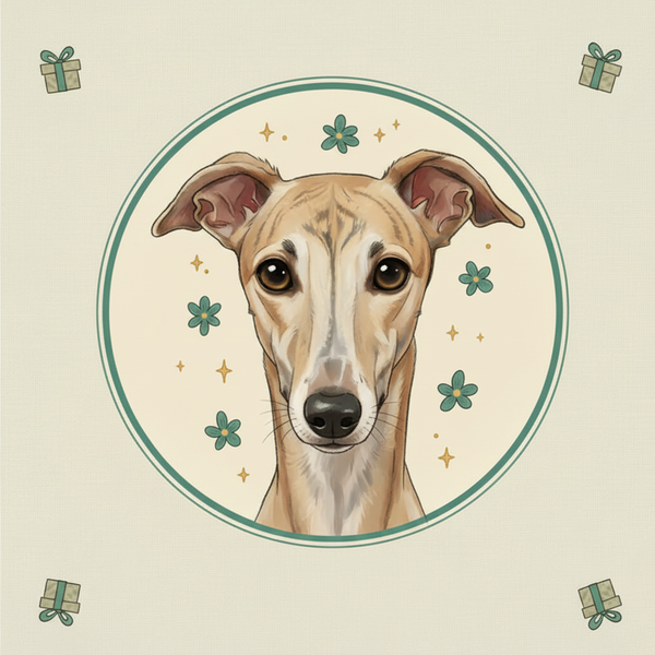 Whippet